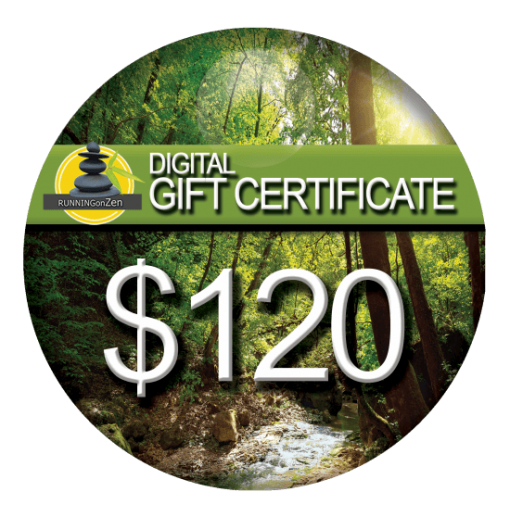$120 Gift Certificate
