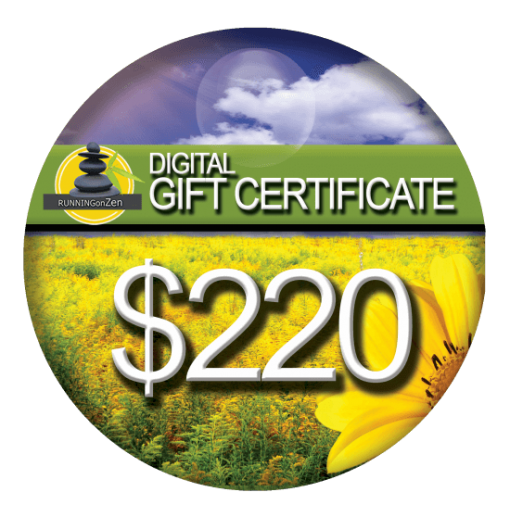 $220 Gift Certificate